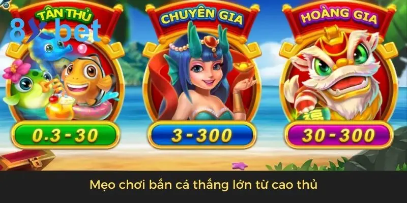 Mẹo chơi bắn cá thắng lớn từ cao thủ